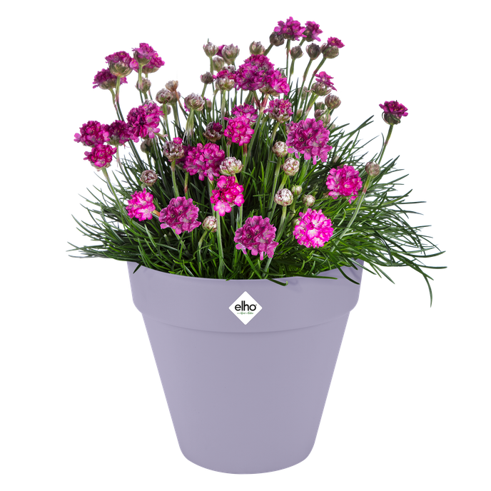 loft urban round 20cm lavender lilac